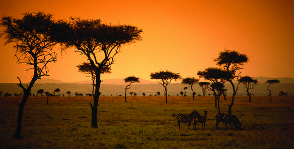 Kenya_sunset