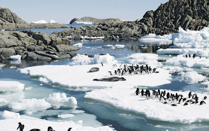 Des vacances en Antarctique, c’est possible !