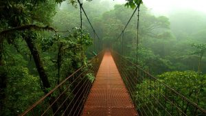 costa-rica-foret-des-nuages
