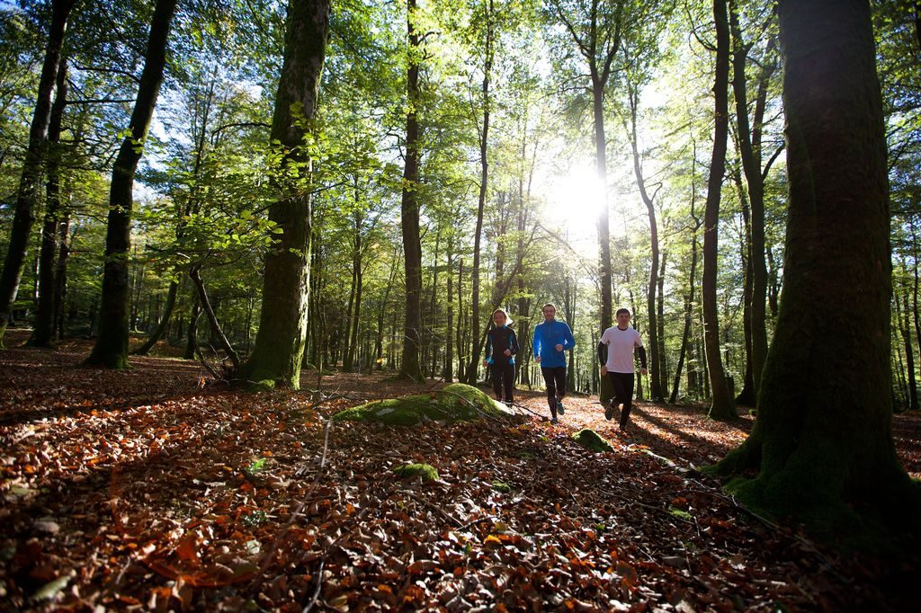 Se reconnecter à la nature durant ses vacances