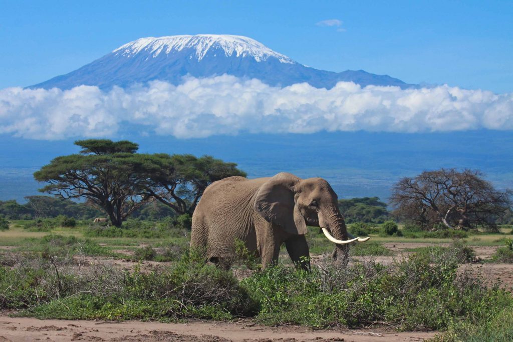 Quels souvenirs de voyage ramener de Tanzanie ?