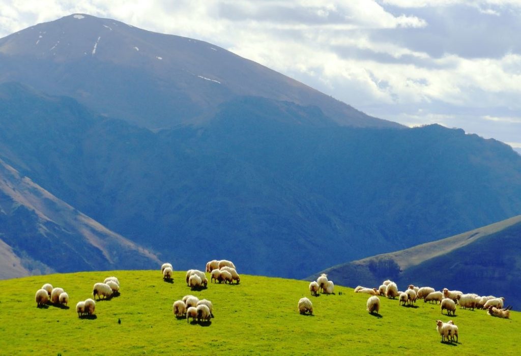 Au Pays Basque, vivez la campagne de plus près !