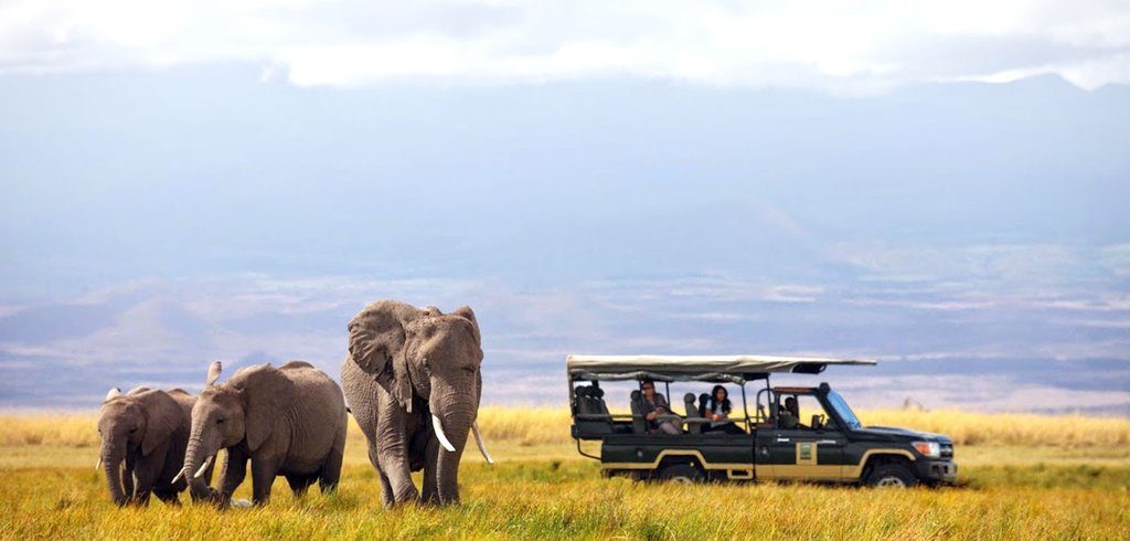 Faire un safari : les vacances idéales pour les amoureux des grands espaces