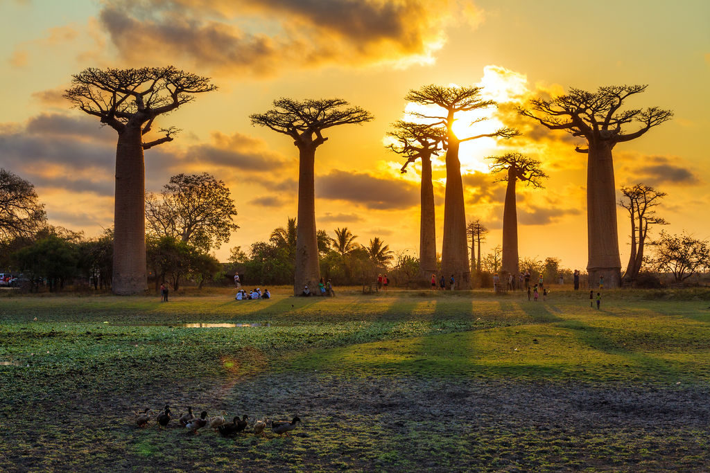 Une aventure unique à Madagascar