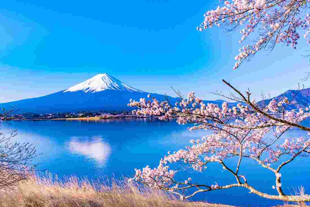 Partez à la découverte du fascinant Japon !